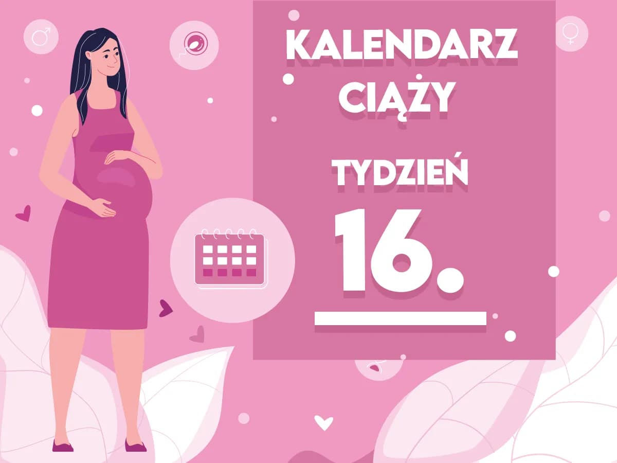 16 tydzień ciąży ile cm ma dziecko - co powinieneś wiedzieć o rozwoju