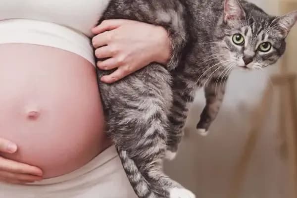 Toksoplazmoza w ciąży objawy - jak je rozpoznać i co oznaczają?